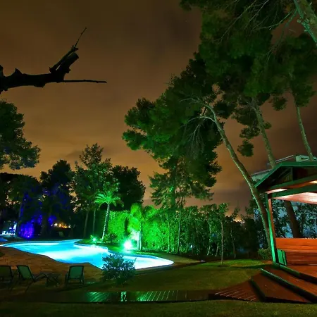 New Play * Salou