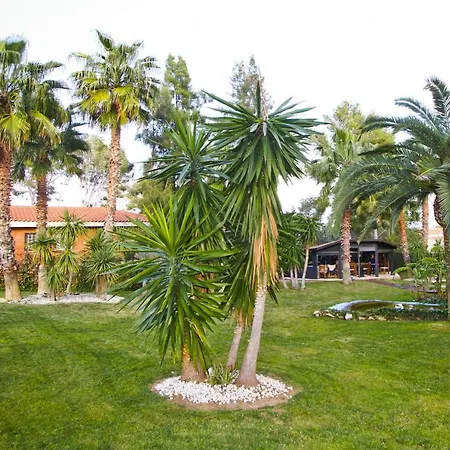 New Play Villa